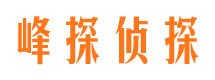 商南市私家侦探